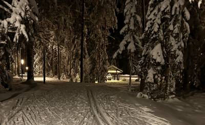 По тропе Ярви прошло рекордное количество лыжников